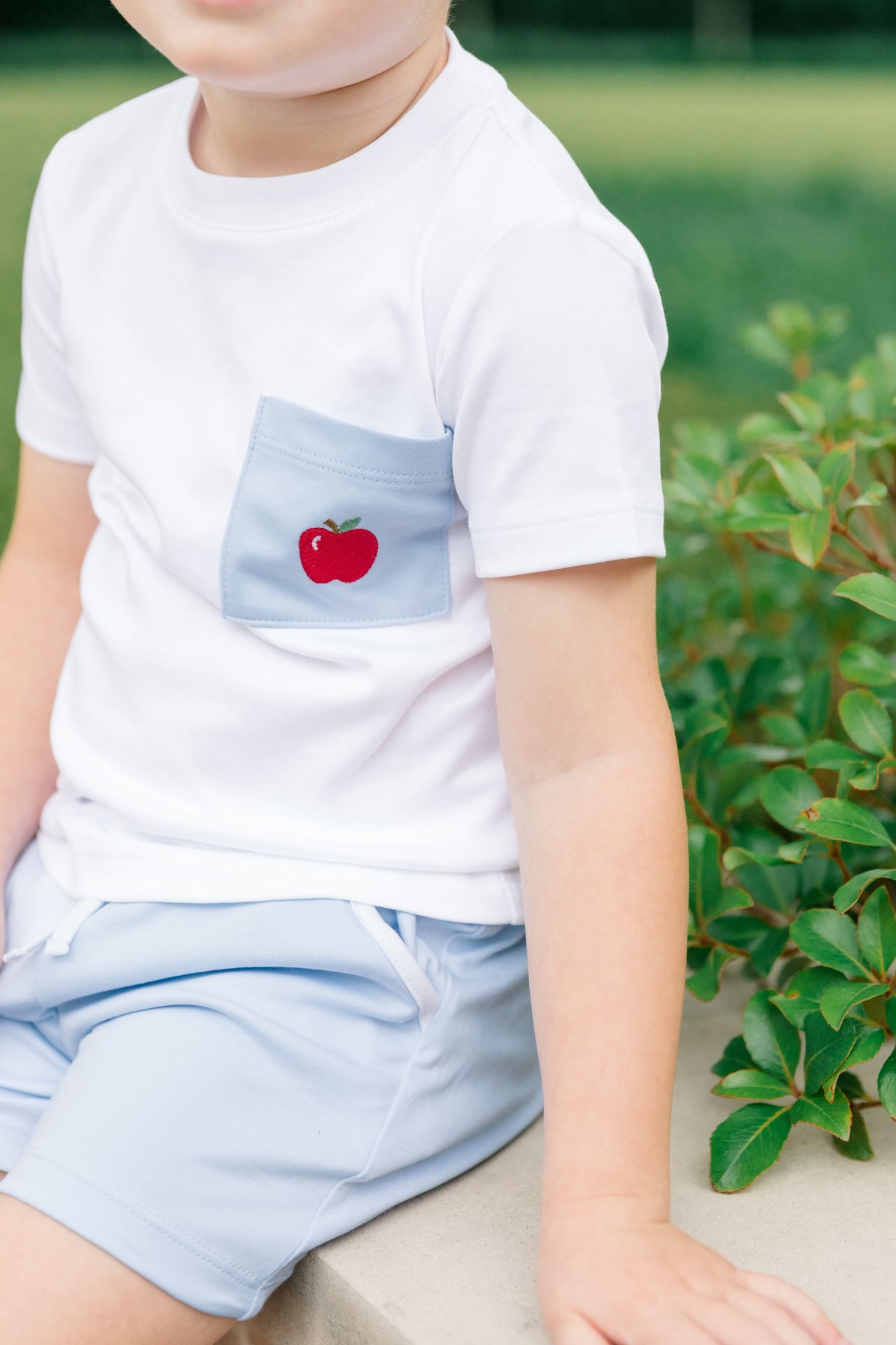 Apple Blossom Boy Shorts